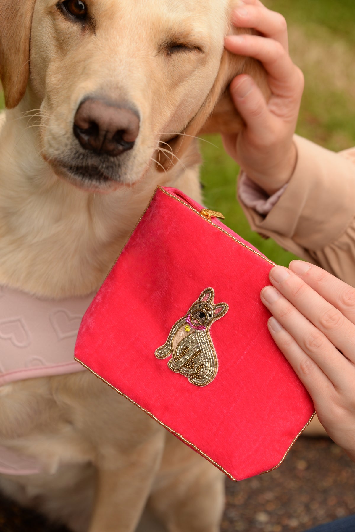 FRENCH BULLDOG MEDIUM POUCH