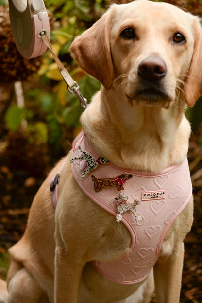 SAUSAGE DOG WITH BOW BROOCH